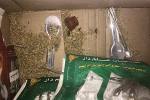 Rodent droppings found in a cardboard box