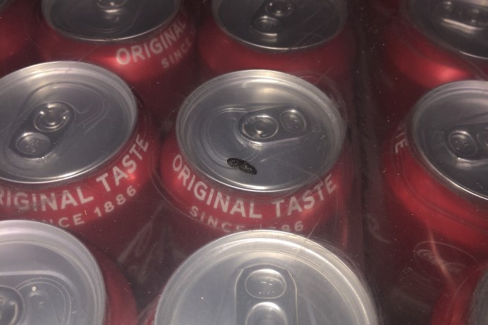 Rat droppings on a can of a drink
