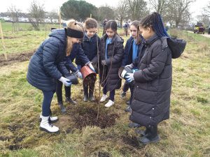 A group of primary school children gather around a hole where they are helping to plant seeds and trees