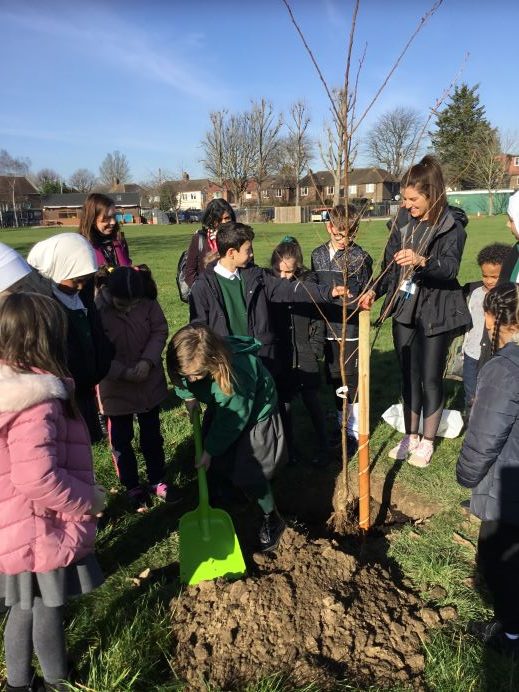 Pupils and teachers planting a tree in a school field