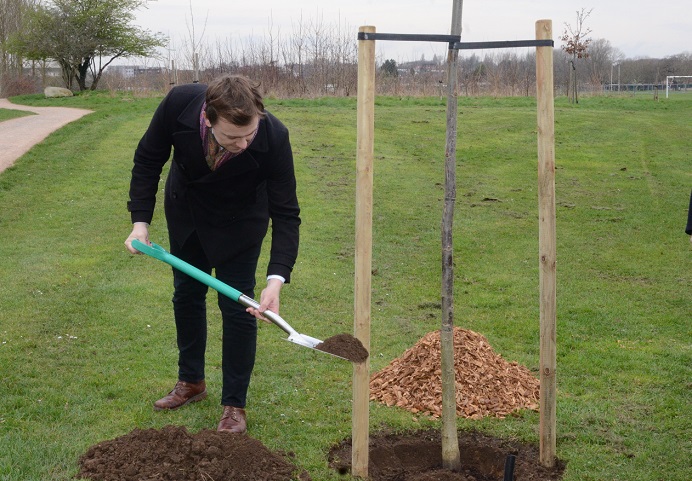 Peter Mason planting tree