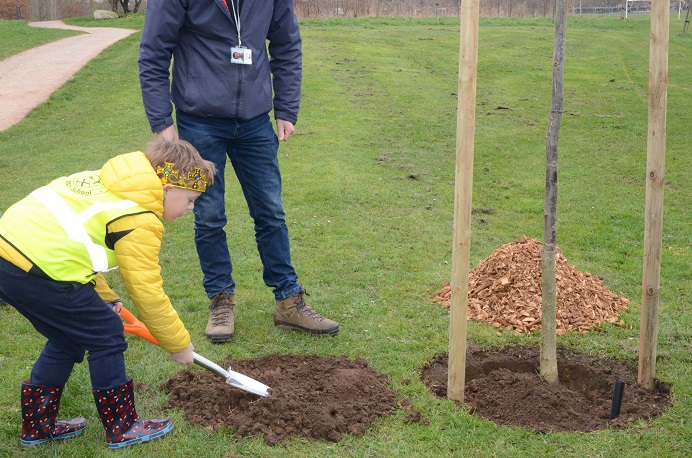 Boy in yellow jacket planting tree