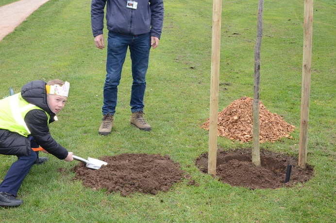 Boy in high viz with crown planting tree