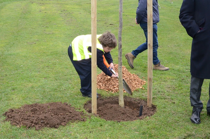 Boy pupil Coston's Primary planting tree