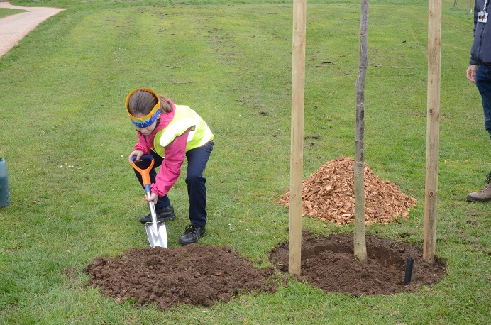 Girl, planting tree