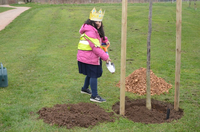 Girl, pink coat, planting tree