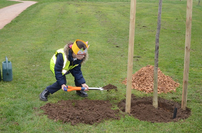 Coston's girl pupil planting tree