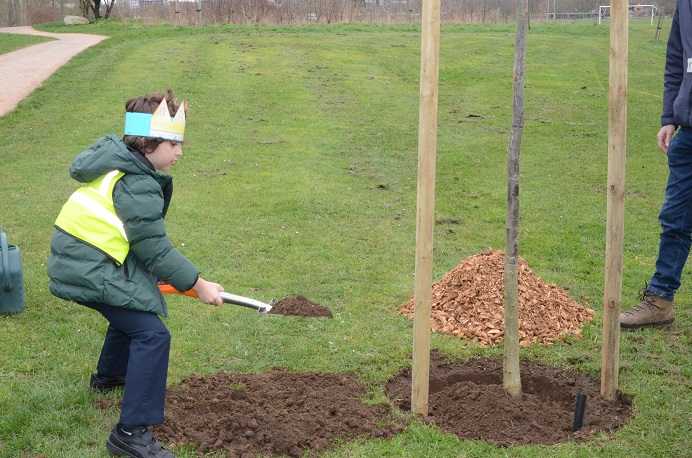 Coston's Primary pupil planting tree