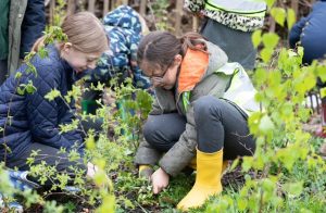 Hobbayne pupils gardening