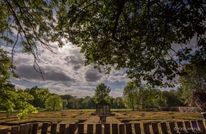 Brent Lodge Park