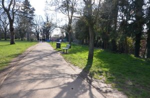 Pathway in a park