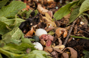 Materials for home composting