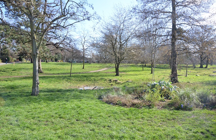 Trees scattered across Lammas Park in Ealing