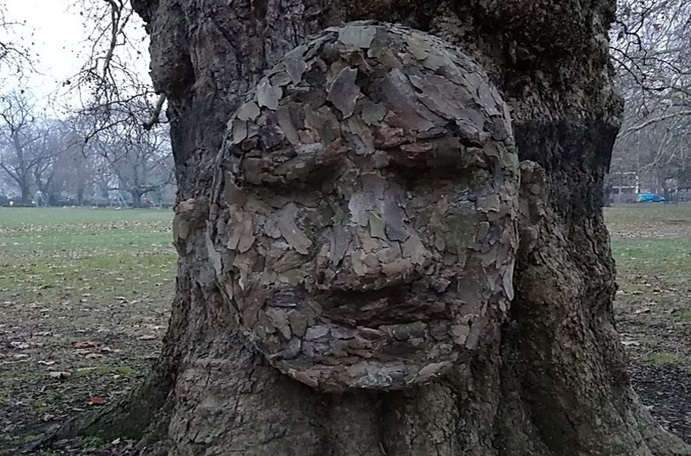 Tree trunk with a face carved into it
