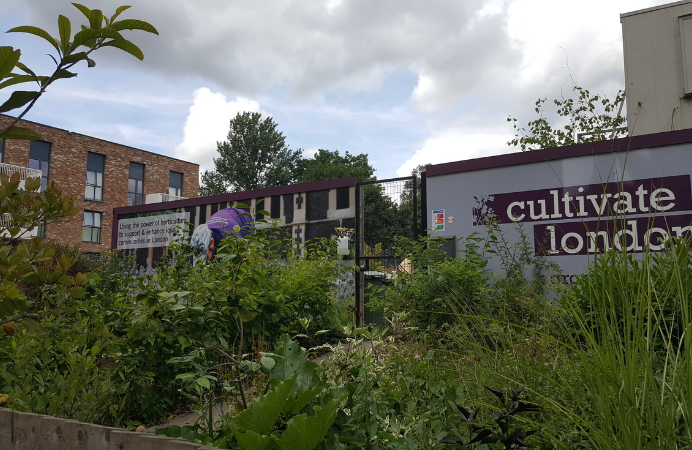 Cultivate London green space