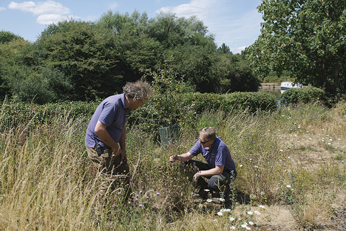 Two men crouching down examining plants