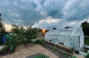 An allotment