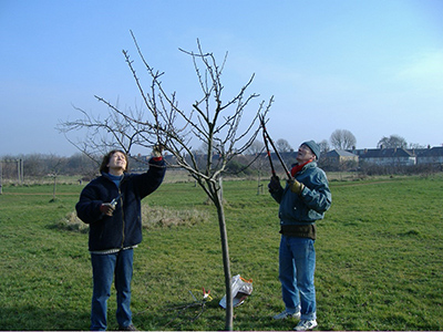 Man and woman next to fruit tree