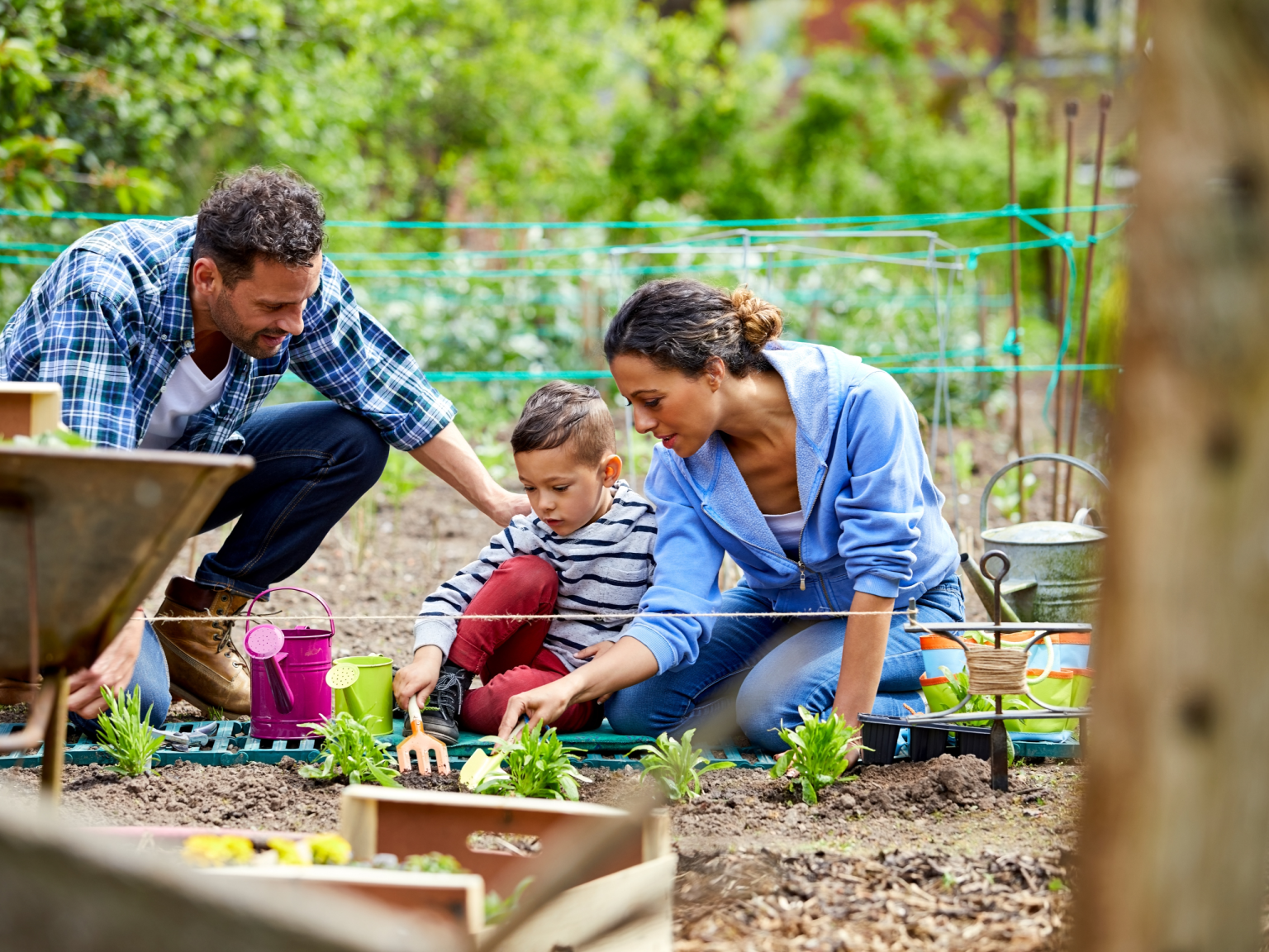 Man, child, woman planting in garden