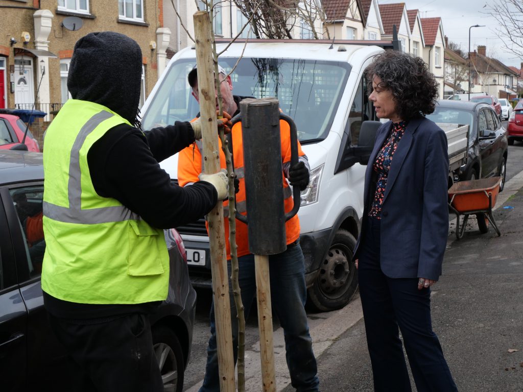 Councillor Deirdre Costigan and two tree contractors planting a new street tree.