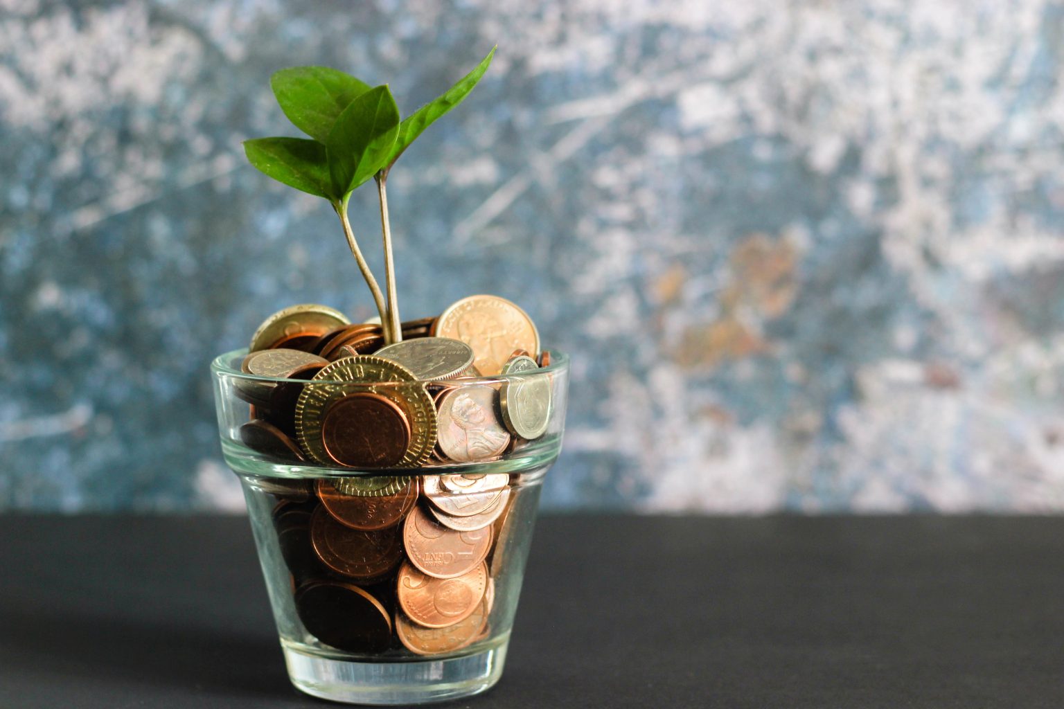 Image of money in a glass and a new green shoot growing from it.