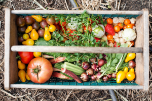 A basket with variety of vegetables