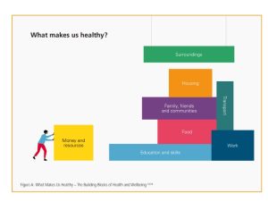 Building blocks of health