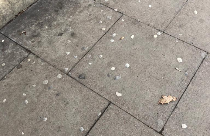 Lots of chewing gum on the street.