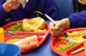 Plates with school meals on them