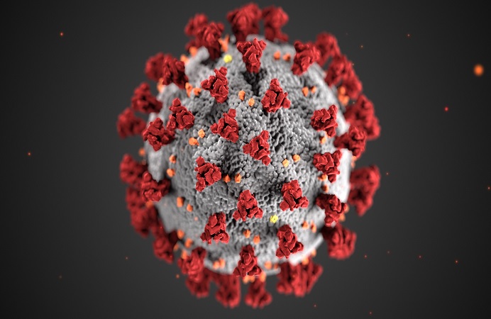 COVID-19 pathogen