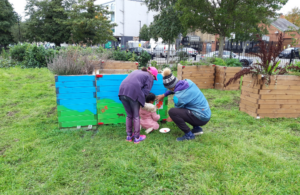 Two adults and a child planting at Dean Gardens