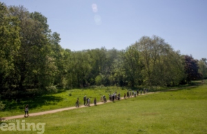 A group of people walking through a path in a large park