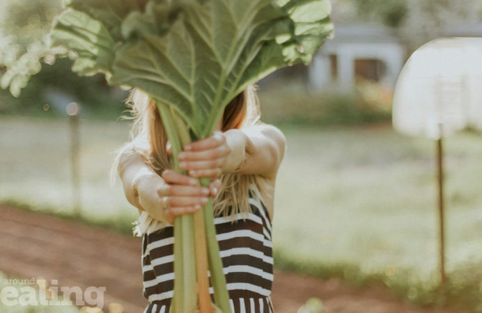 A lady holding a green vegetable in her hands