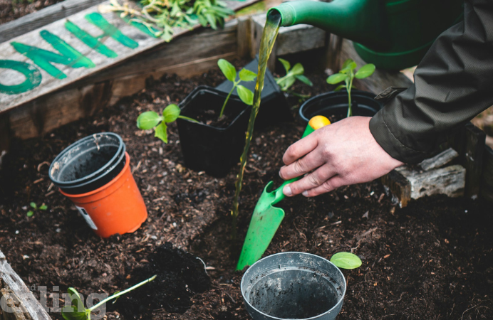 A pair of hands working in a garden with a spade and watering can