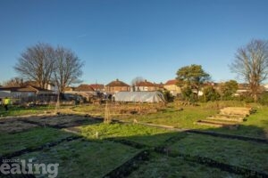 Polytunnel, green space and allotments taking shape at Western Road urban garden