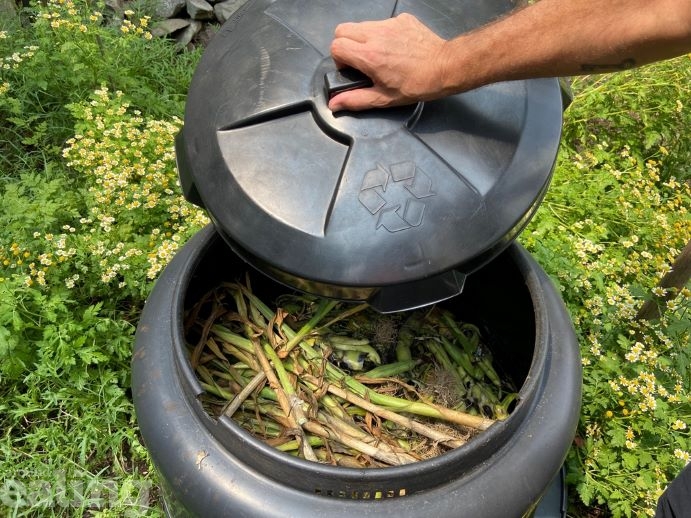 Compost bin with lid off and green waste inside