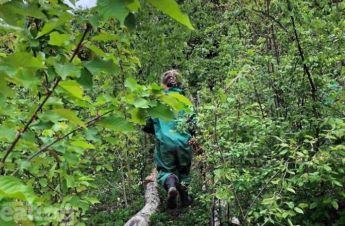 Girl child walking through trees