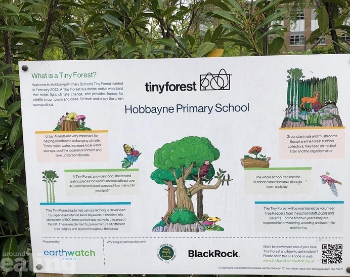 Board with details of a Tiny Forest at Hobbayne Primary School