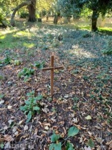 A wooden cross marking a grave in a cemetery, with fallen leaves laying all around