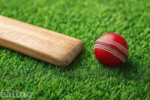 cricket bat and ball on grass