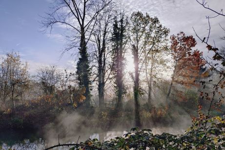 a sunny morning through the trees in Hanwell