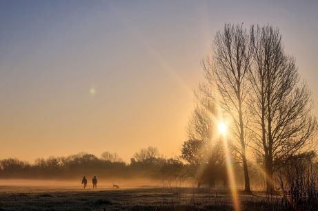 couple walking a dog on sunny morning in Lime Trees Park, Northolt