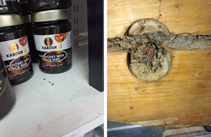 Collage of photos - left: mice droppings on shelving next to jars of honey and right: beetles/insects in gaps on wooden chopping block