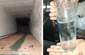 A collage: picture on the left, mice droppings on top of shelves, and picture on the right, mice droppings in a beer glass