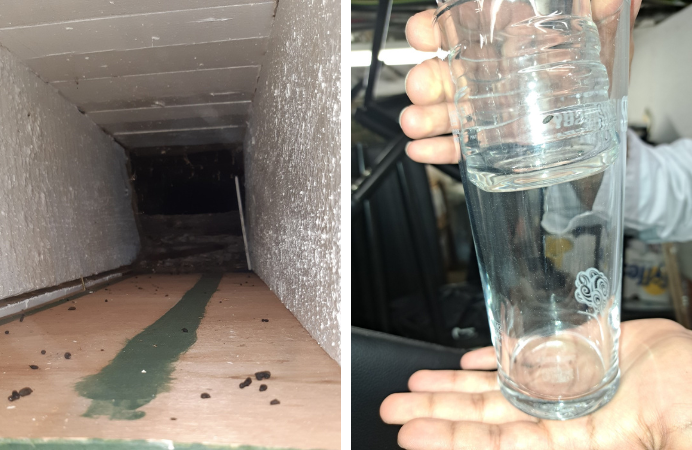 A collage: picture on the left, mice droppings on top of shelves, and picture on the right, mice droppings in a beer glass