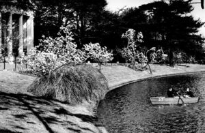 A small rowing boat on a small lake