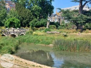 Walpole Park in Ealing. There is an ornamental bridge over the pond. Trees in the background and the back of Pitzhanger Manor