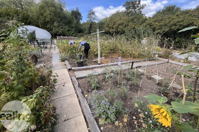 gardening at Hanwell DIG