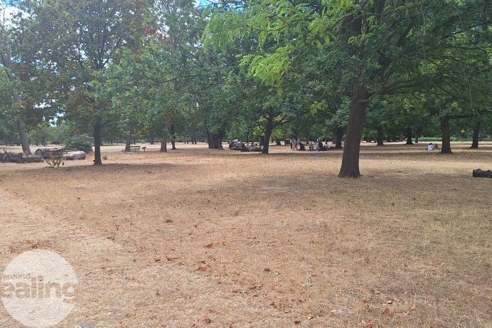 Picture of a park with a dry, brown ground and trees in the background