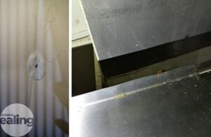 A cockroach and a bedbug found by environmental health inspectors at the Old Oak pub in Southall